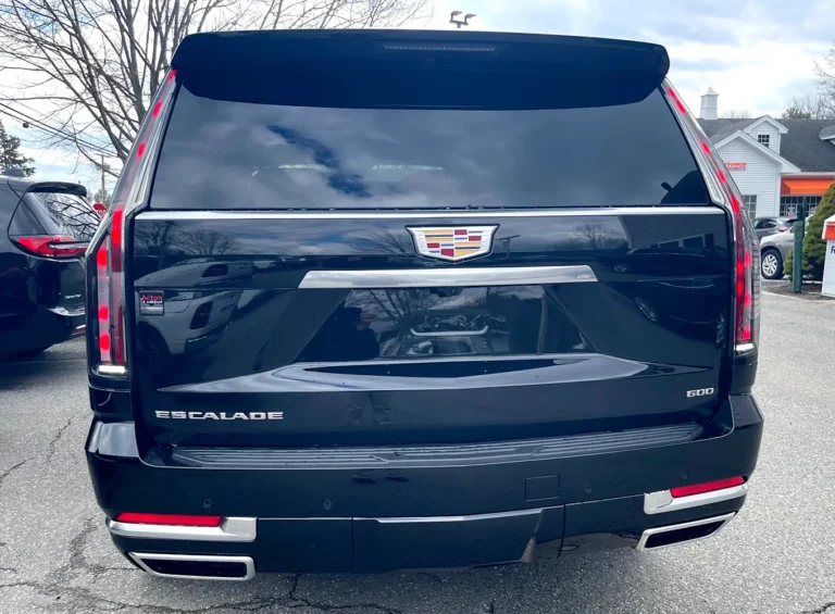 windermere-limousines-luxury-transport-escalade-04